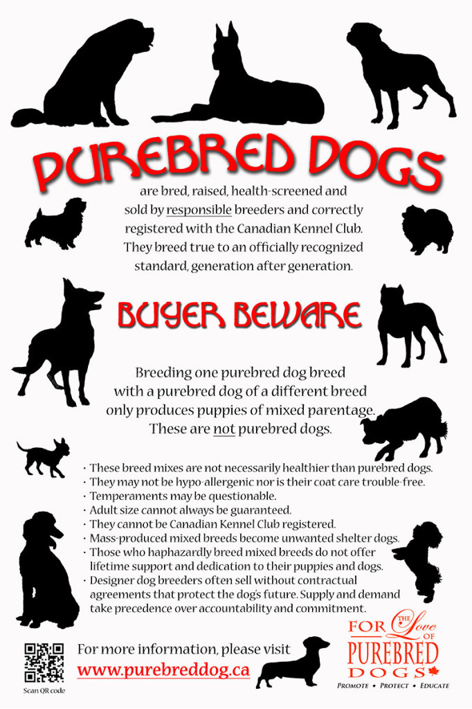 are purebred or mixed breed dogs healthier